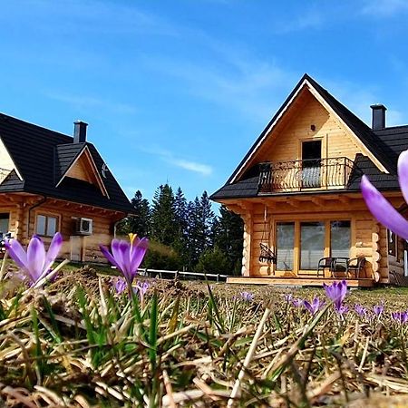 Jedroskowe Chatki Витув Экстерьер фото